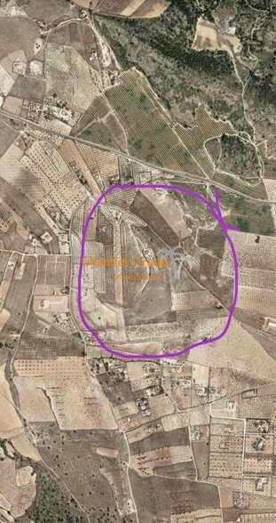 Carretera de Sax, Salinas, Salina, 67, Alicante, Alicante en venta - Vista aérea - Imagen 1 de 1