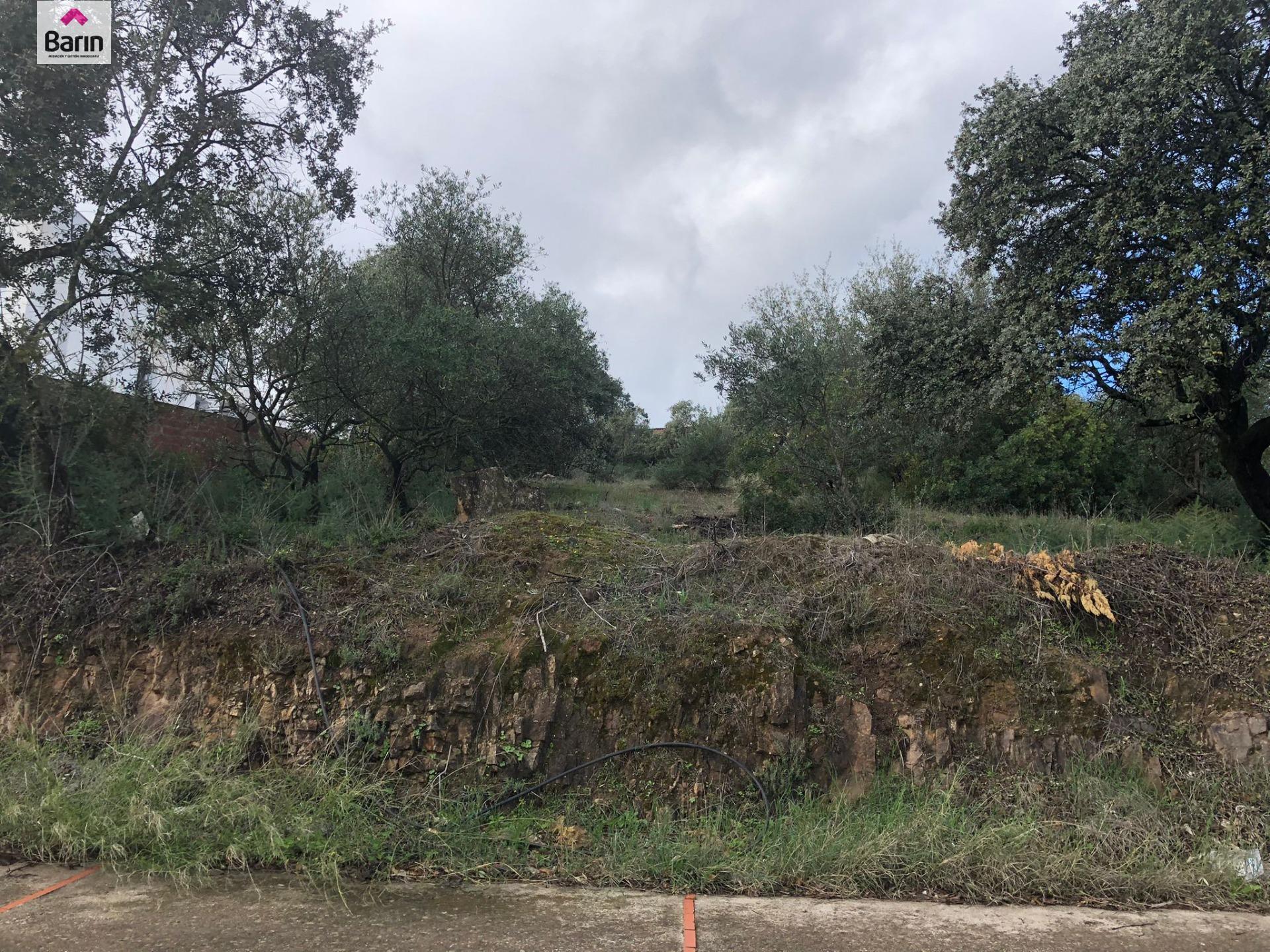Terreno en Córdoba, Córdoba en venta Plano del sitio- Imagen 1 de 5