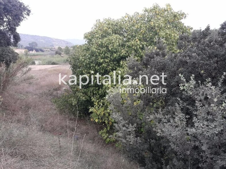 Terreno en LA, Valencia en venta - Foto principal - Imagen 2 de 5
