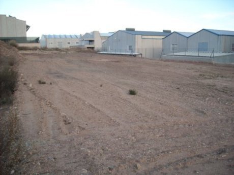 Nave en Calasparra en venta - Foto del edificio - Imagen 2 de 2