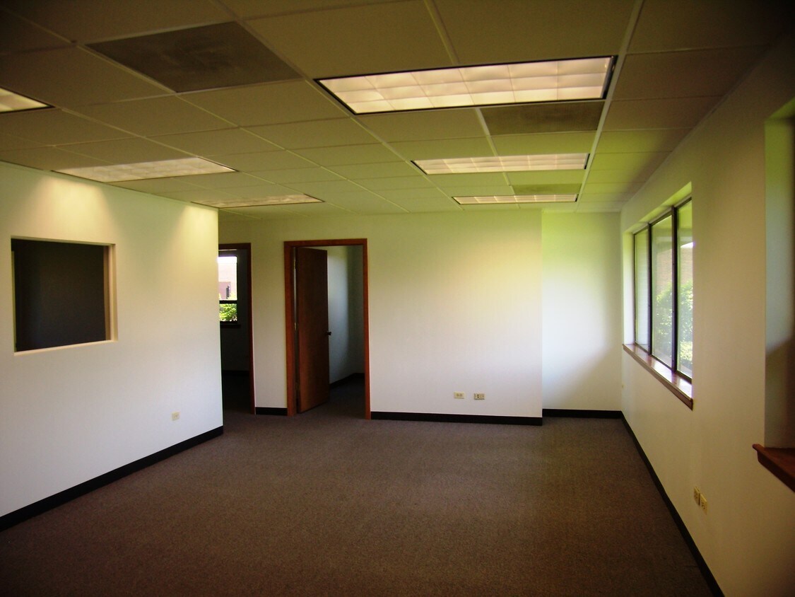 390 E Higgins Rd, Elk Grove Village, IL en alquiler Foto del interior- Imagen 1 de 2