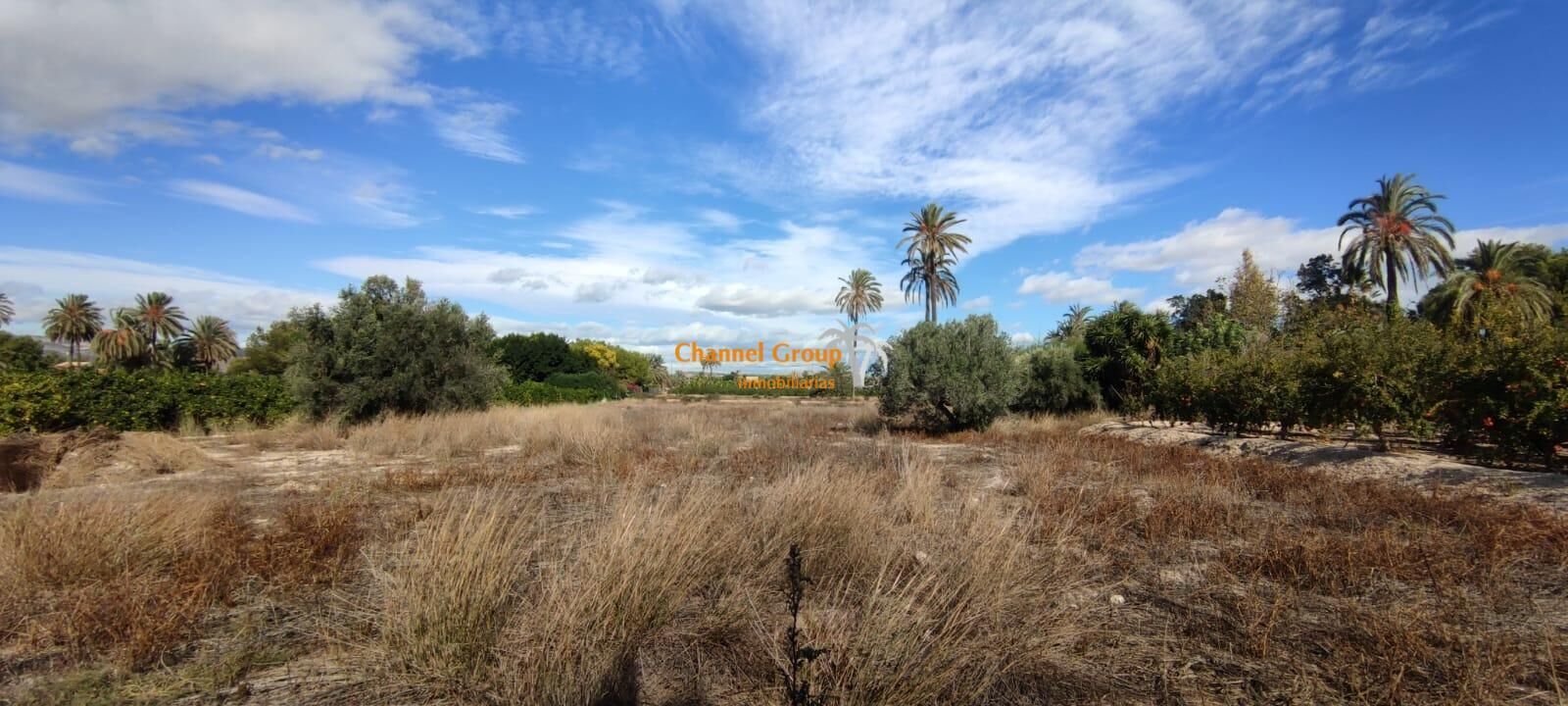 Terreno en Elche, Alicante en venta Foto del edificio- Imagen 1 de 4