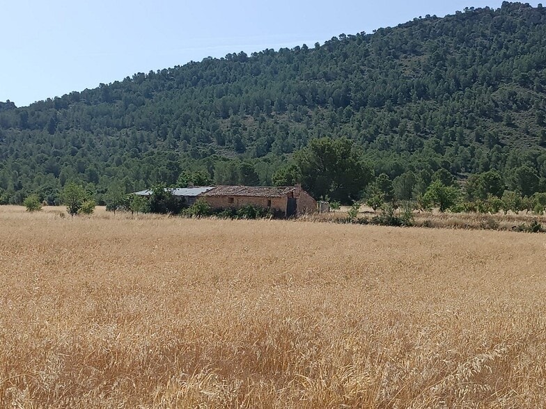 Terreno en Yecla, Murcia en venta - Foto del edificio - Imagen 3 de 16