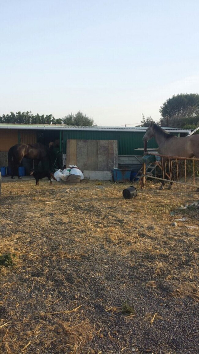 Más detalles de Terreno en venta