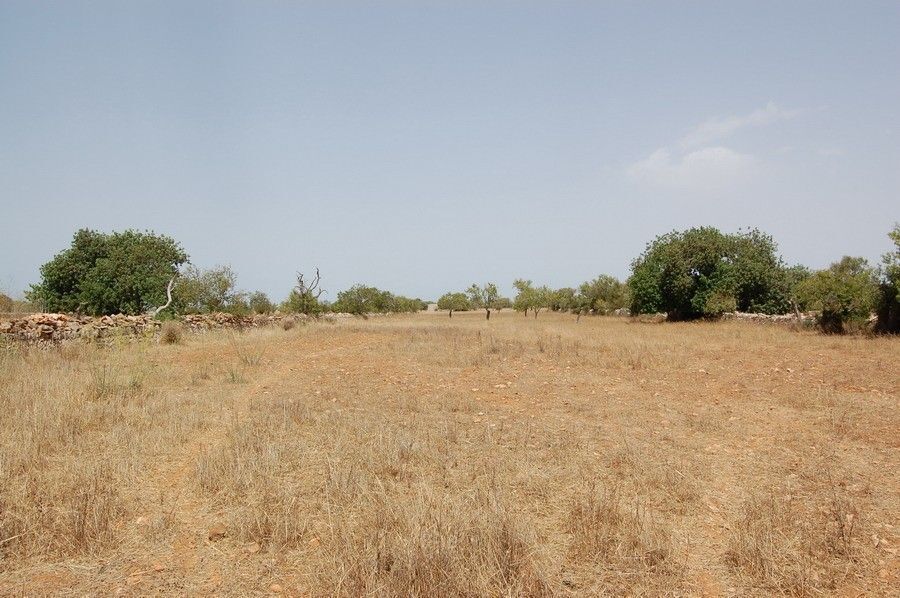 Terreno en Santanyí, Islas Baleares en venta Foto principal- Imagen 1 de 12