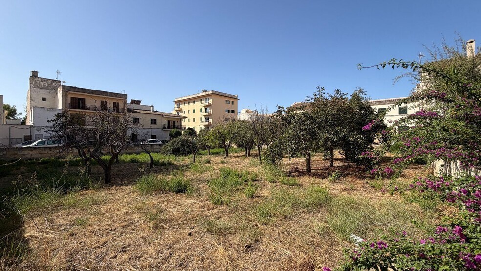 Terreno en Lloseta, Islas Baleares en venta - Foto del edificio - Imagen 1 de 20
