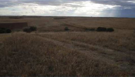 Más detalles de Paraje Carrascosilla, El Viso de San Juan - Terreno en venta