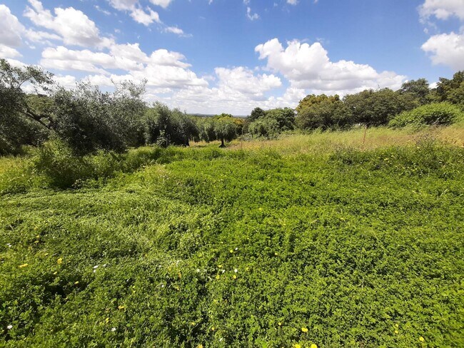 Más detalles de Terreno en venta