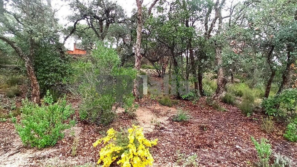 Carrer Avet, 20, Vidreres, Gerona en venta - Foto principal - Imagen 1 de 6