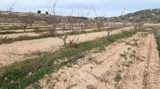 Más detalles de Camino de los Charquillos, Yecla - Terreno en alquiler