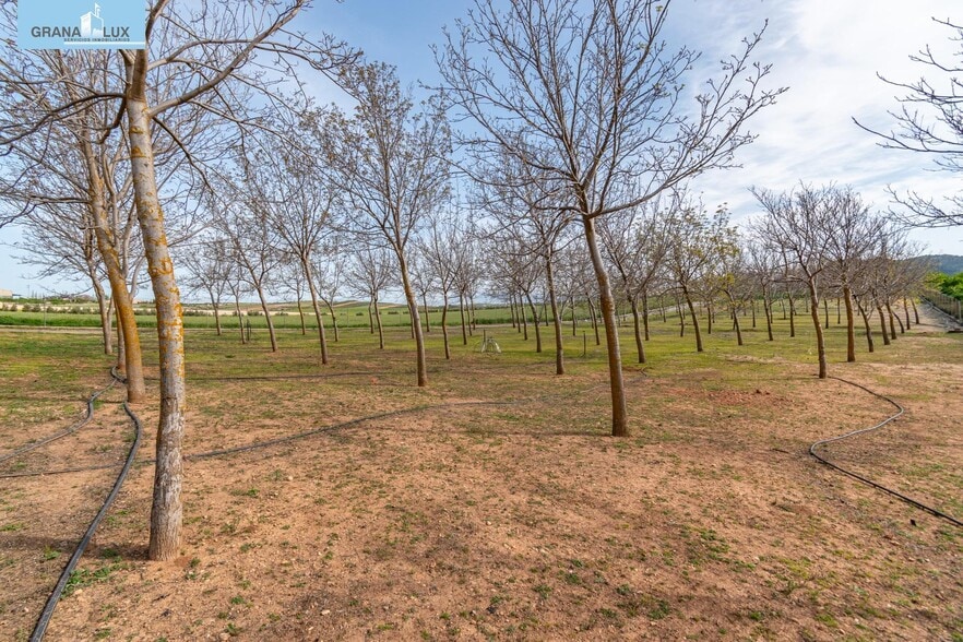 Terreno en Padul en venta - Foto del edificio - Imagen 3 de 50