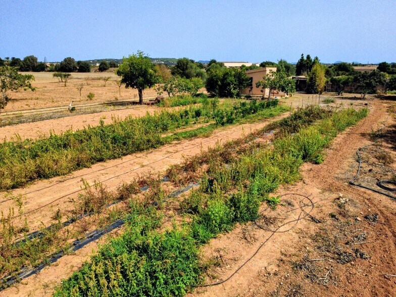 Terreno en Porreres, Islas Baleares en venta - Foto del edificio - Imagen 3 de 19