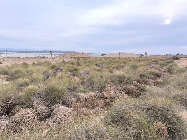 Terreno en MURCIA en venta - Foto del edificio - Imagen 2 de 8