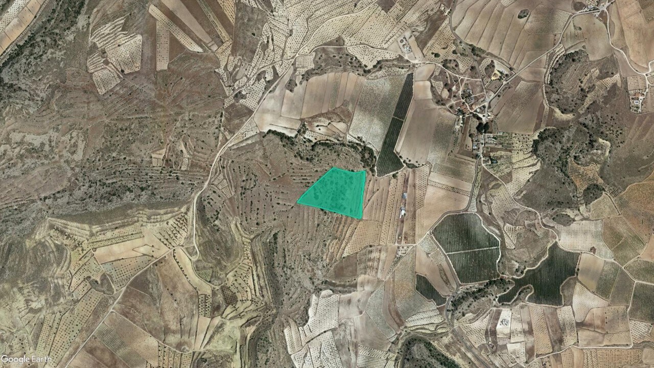 Calle del Polígono L, Parcela 315, Jumilla, Murcia en venta Plano de la planta- Imagen 1 de 6