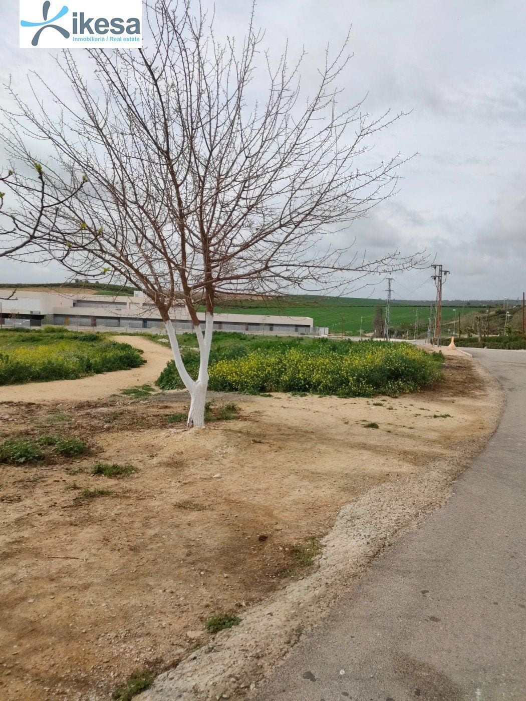 Terreno en Burguillos, Sevilla en venta Foto del edificio- Imagen 1 de 22