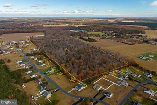 Más detalles para 50 acres Mt Joy, Millsboro, DE - Terrenos en venta