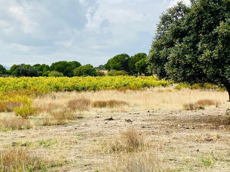 Terrenos en San Martín de Valdeiglesias, Madrid en venta - Foto del edificio - Imagen 3 de 7