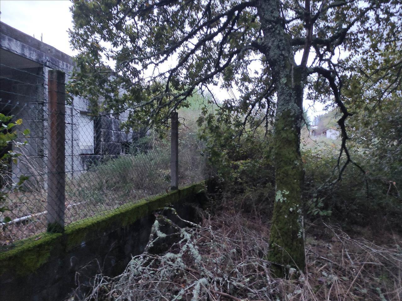 Porto Do Souto, San Cristovo de Cea, Orense en venta Foto principal- Imagen 1 de 5