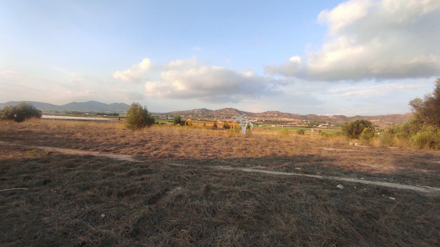 Partida Alcana, Aspe Pedanias, 49, Elche, Alicante en venta Vista aérea- Imagen 1 de 6