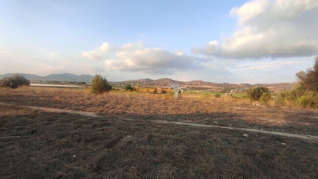 Más detalles de Partida Alcana, Aspe Pedanias, 49, Elche - Terreno en venta