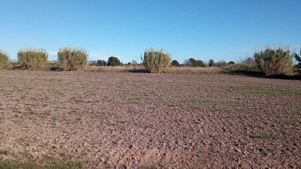 Parcela, 3, Chilches, Castellón en venta - Foto del edificio - Imagen 3 de 11