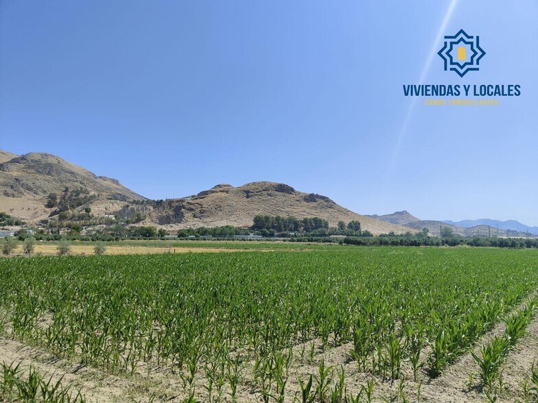 Carretera de Pinos Puente, Atarfe, Granada en venta - Foto principal - Imagen 1 de 9