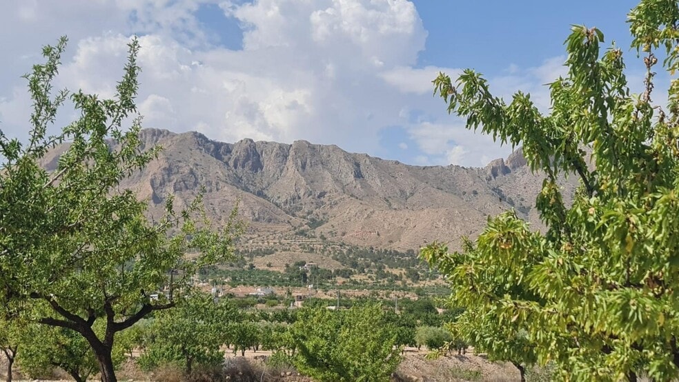 Terreno en Abanilla en venta - Foto del edificio - Imagen 2 de 5