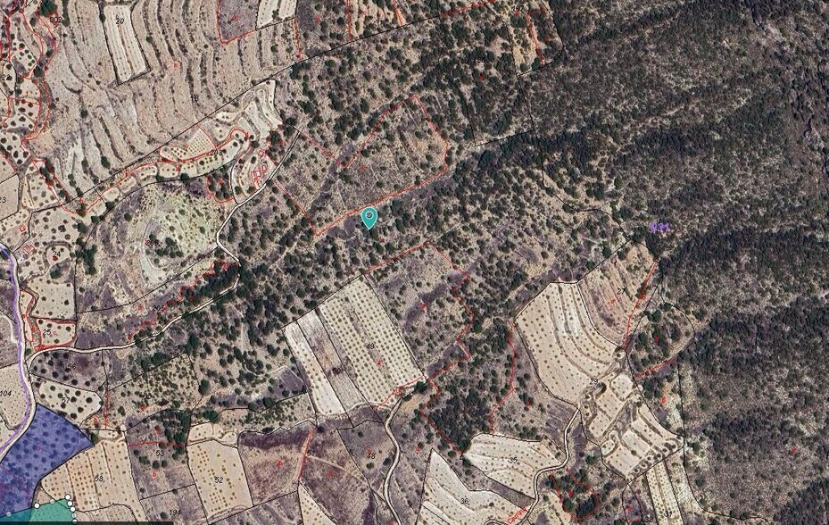 Terreno en MONÒVER en venta - Foto del edificio - Imagen 2 de 2