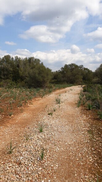 Ma, 6014, Llucmajor, Islas Baleares en venta - Foto del edificio - Imagen 2 de 11