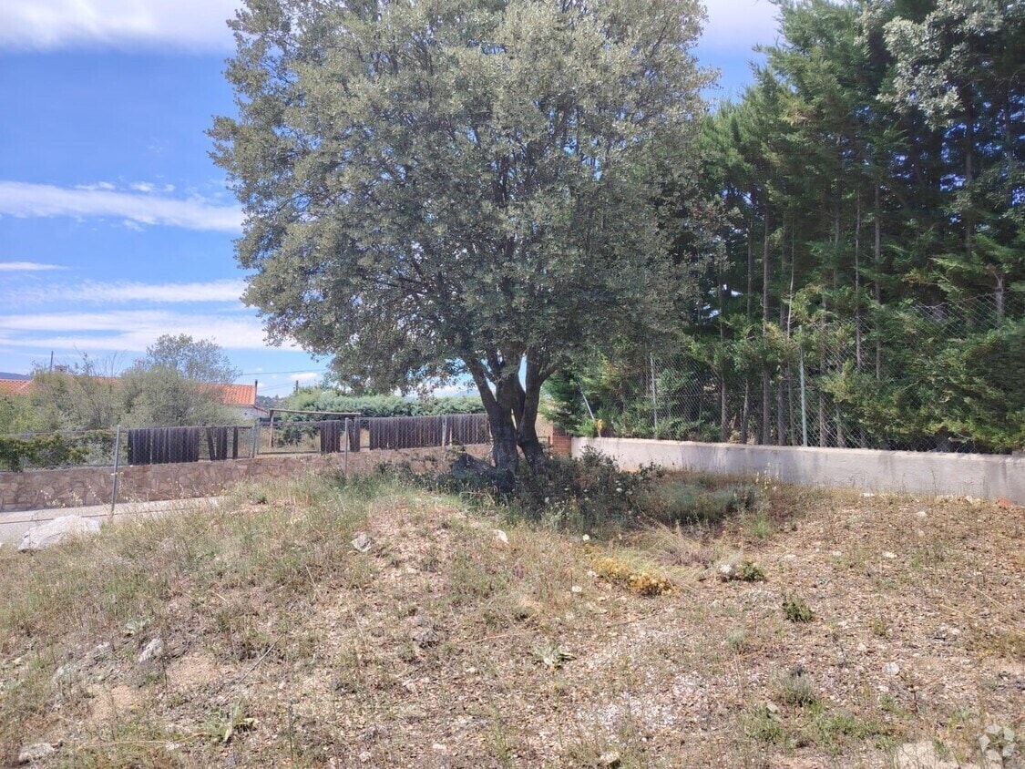 Terreno en El Boalo, Madrid en venta Foto principal- Imagen 1 de 2