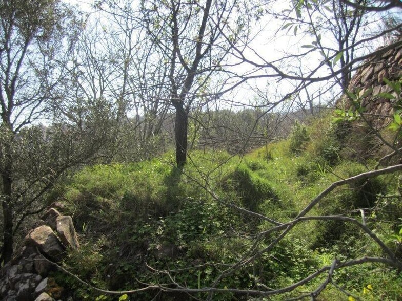 Polígono 13, 35, Serra, Valencia en venta - Foto del edificio - Imagen 3 de 9