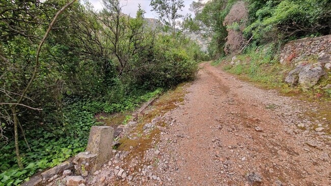Más detalles de Partida la Casella, Alzira - Terreno en venta