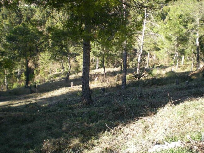 Más detalles de El Serrat de Castellnou – Terreno en venta, Castellnou de Bages