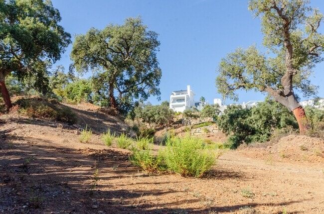 Más detalles de Terreno en venta