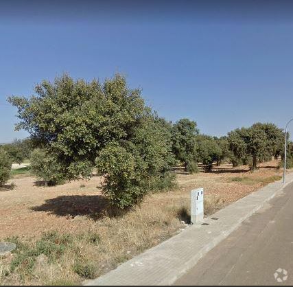 Terreno en Escalona, Toledo en venta - Foto principal - Imagen 1 de 1