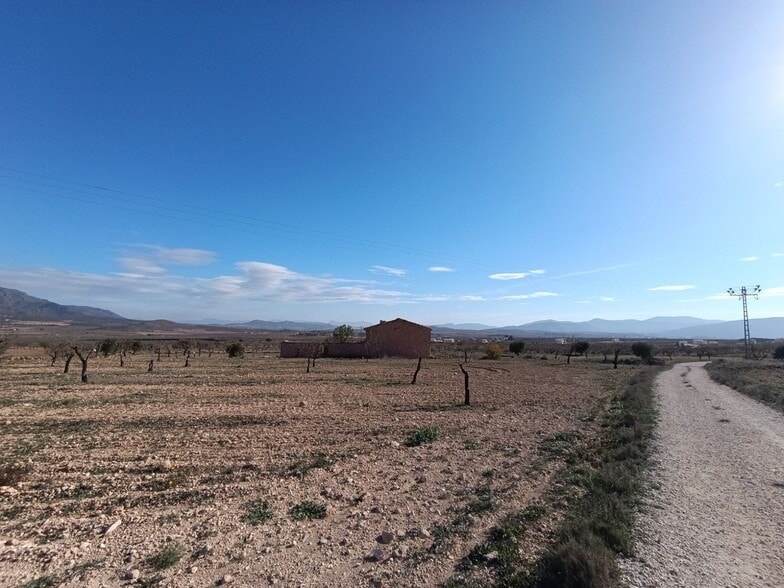 Terreno en Yecla, Murcia en venta - Foto principal - Imagen 2 de 20