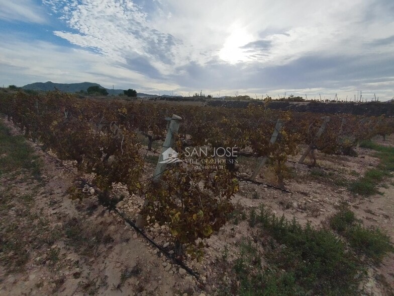 Terreno en Novelda, Alicante en venta - Foto principal - Imagen 2 de 5