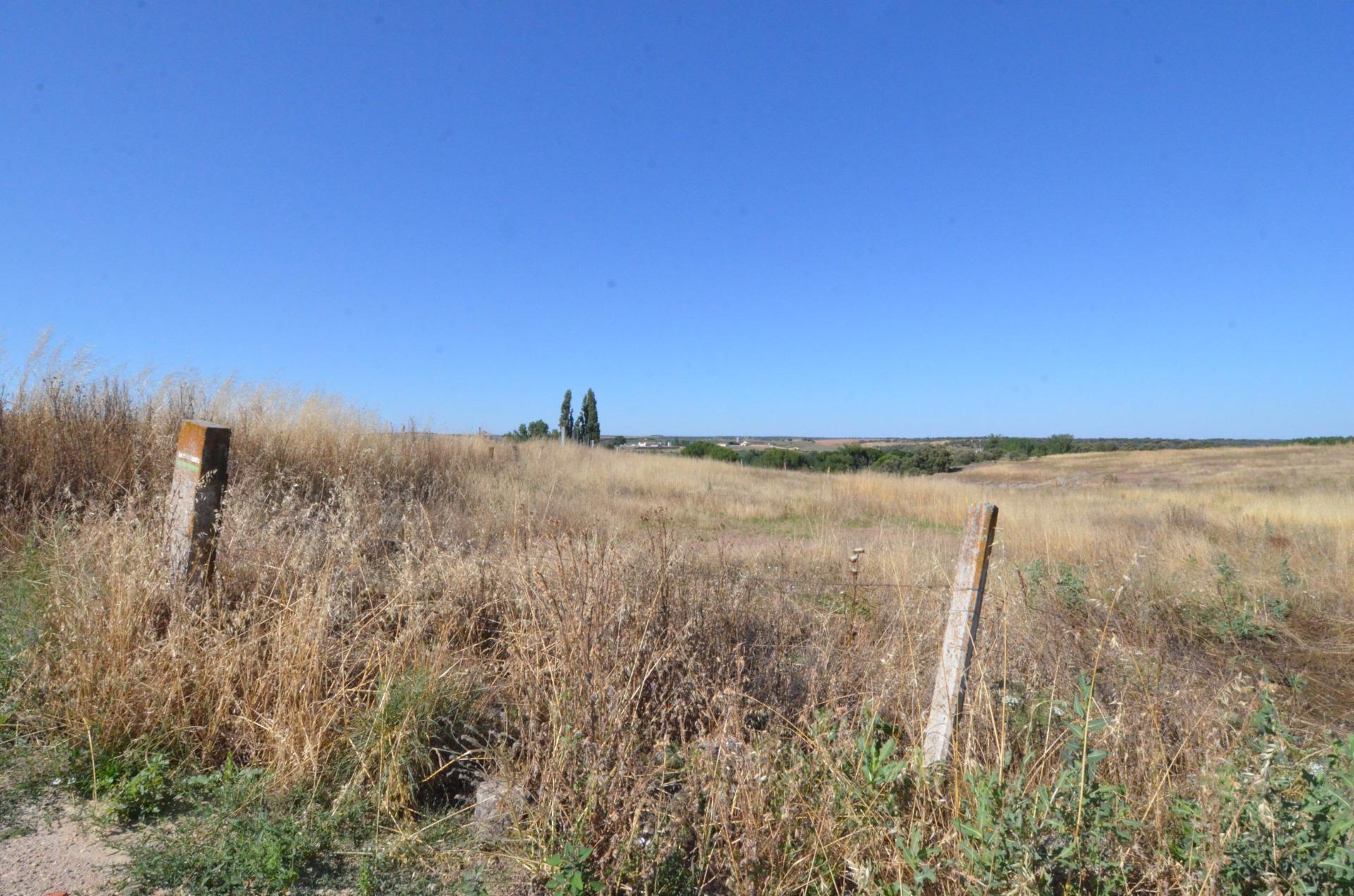 Polígono, 503 Parcela 504, Almenara de Tormes, Salamanca en venta Foto del edificio- Imagen 1 de 7