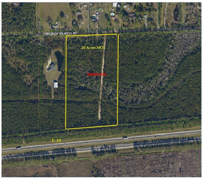 17421 Brandy Branch Rd, Baldwin, FL en venta - Vista aérea - Imagen 2 de 2