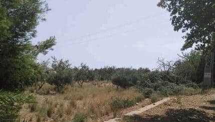 Terreno en BENICÀSSIM, Castellón en venta - Foto principal - Imagen 2 de 3