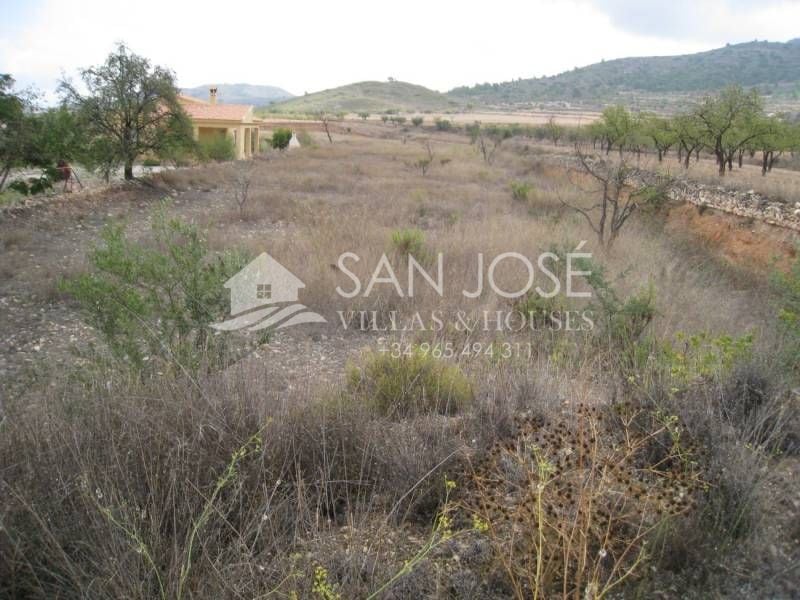 Terreno en Hondón de los Frailes, Alicante en venta Plano del sitio- Imagen 1 de 4