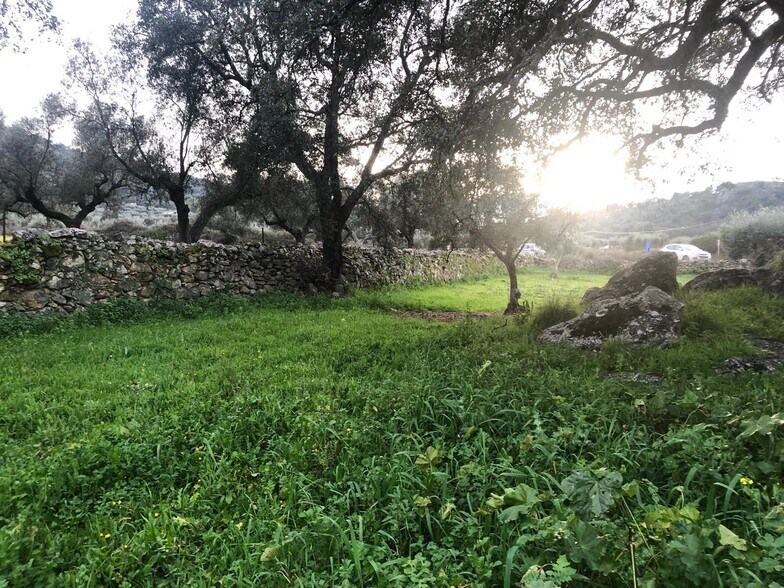 Terreno en Montánchez en venta - Foto del edificio - Imagen 2 de 13