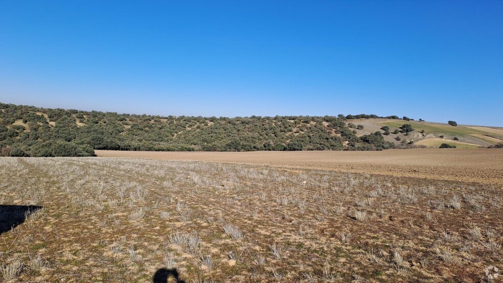 Terrenos en Segovia, Segovia en venta - Foto del edificio - Imagen 2 de 11