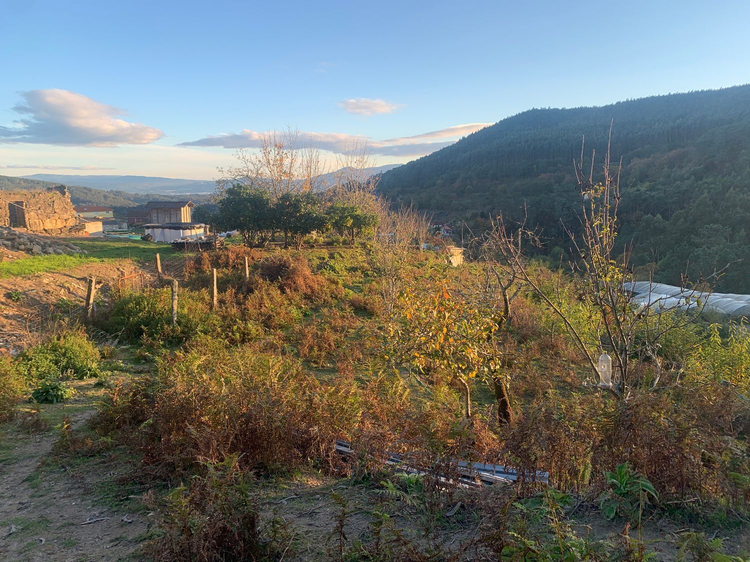 a Pedreira, 13, Tomiño, Pontevedra en venta Foto del edificio- Imagen 1 de 31