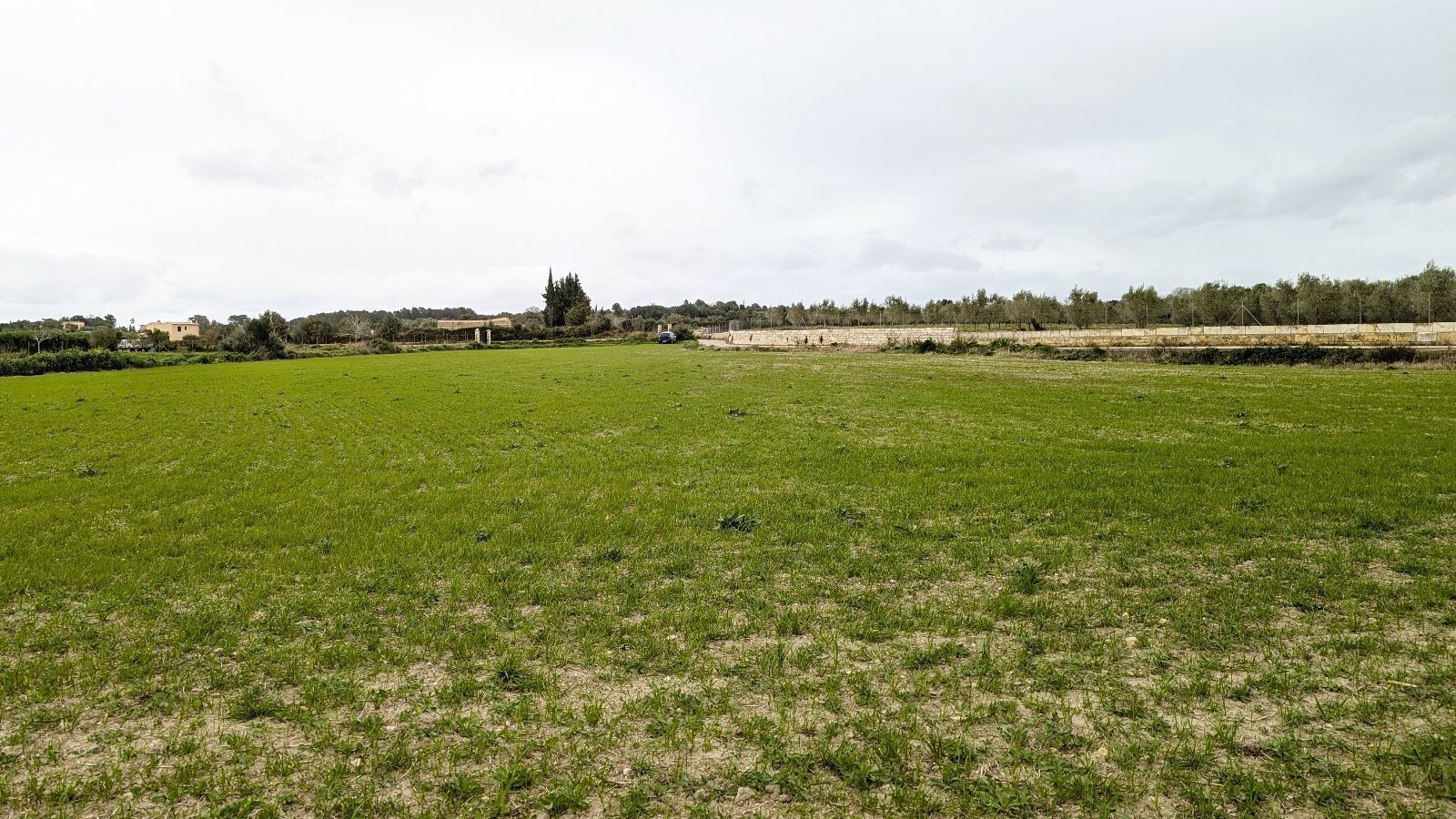 Terreno en Muro en venta Foto del edificio- Imagen 1 de 38