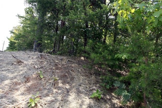 Más detalles de Mine Rd & Greenspring Dr, Stafford, VA - Terreno en alquiler