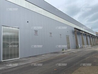 Más detalles de Flex en alquiler