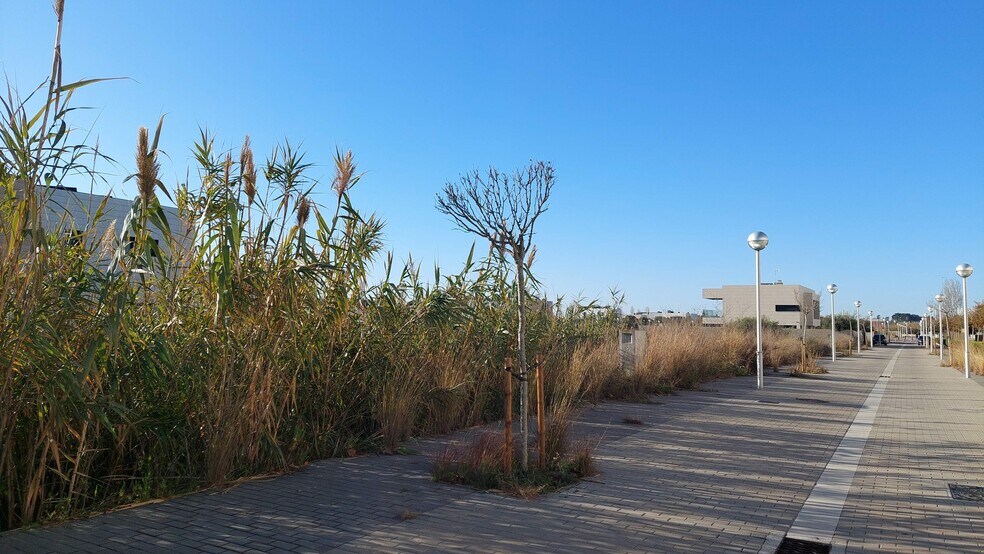 Barenys cartera de 3 inmuebles en venta en LoopNet.es - Foto del edificio - Imagen 3 de 3