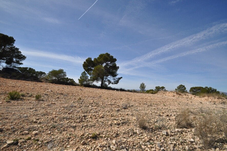 Terreno en Jumilla en venta - Foto del edificio - Imagen 2 de 23