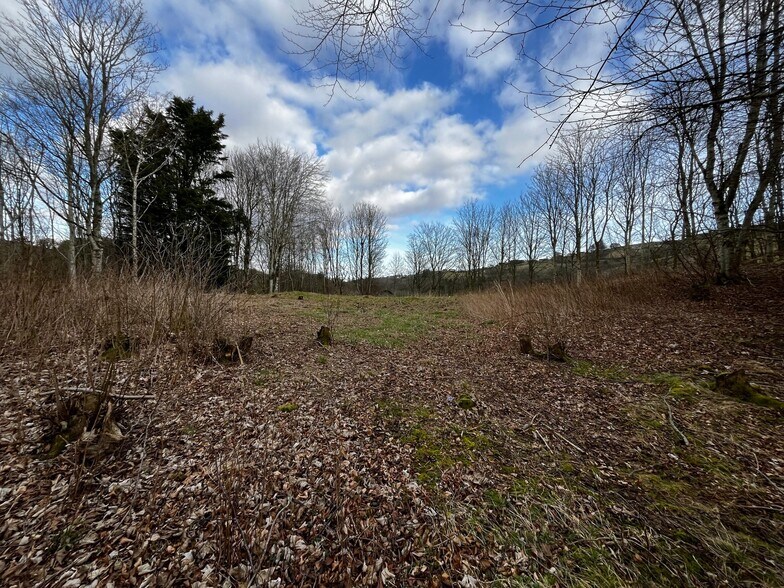 Parkdaill, Hawick en venta - Otros - Imagen 2 de 3